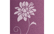 Хризантема Фиолетовая
